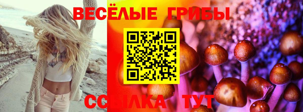 Галлюциногенные грибы прущие грибы Апатиты